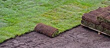 Lay down sod on Victoria Day